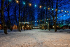 DSC02536