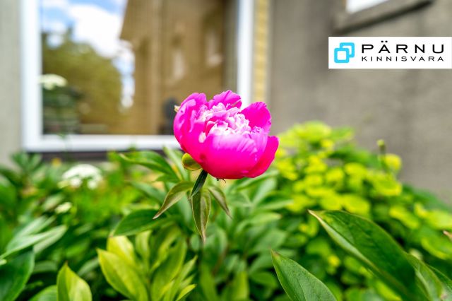 Anda üürile maja, 7 tuba, Pärnu maakond, Pärnu linn, Kaevu tn 42