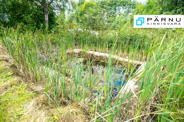Müüa maja, 3 tuba, Viljandi maakond, Mulgi vald, Metsaküla, Välja