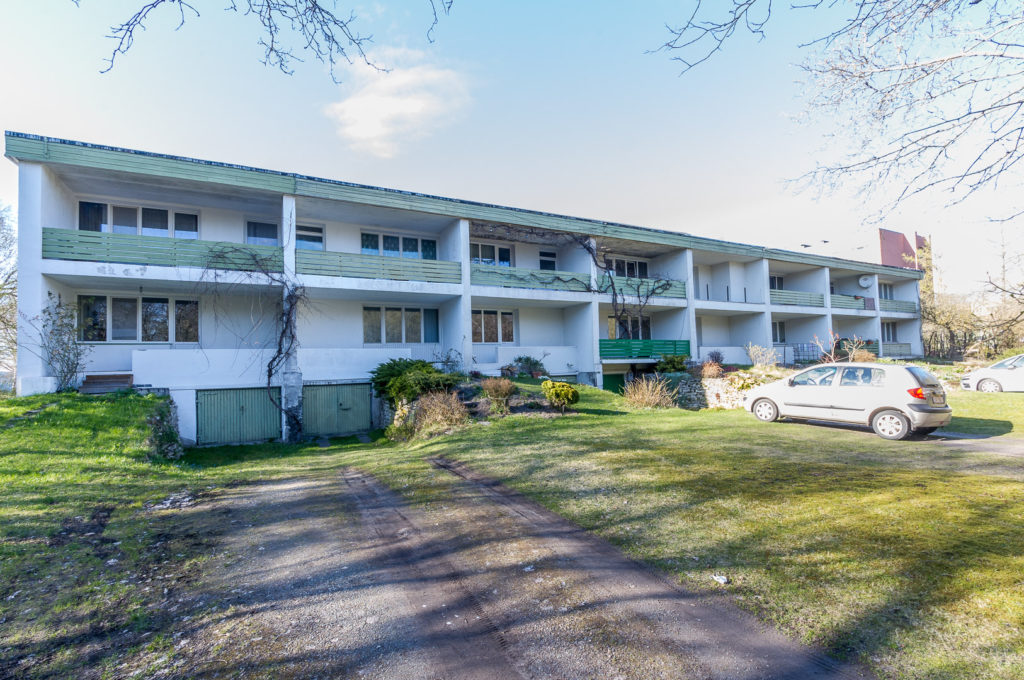 IMGP2520